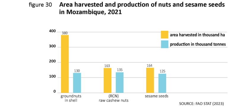 Potencialidade do mercado de oleaginosas para Moçambique