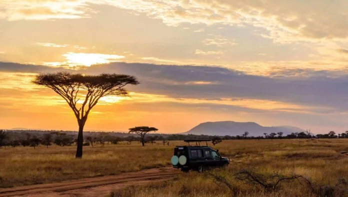 Planos de ligação fronteiriça enfrentam oposição do Parque Nacional Kruger