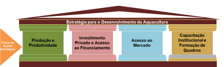 Estratégia de desenvolvimento