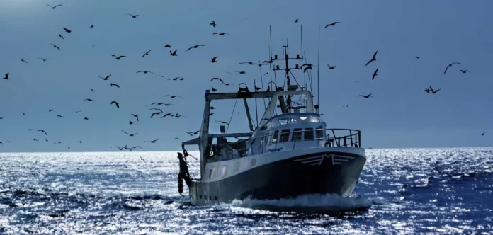 Sector pesqueiro cresceu 9% em 2023