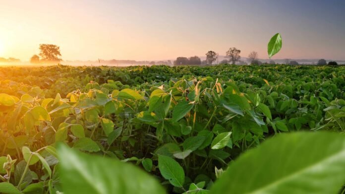 Noruega financia projectos de segurança alimentar e educação em Moçambique