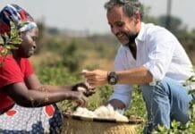 Aprovados novos preços mínimos de referência para a comercialização do algodão