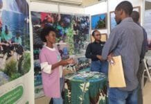 Feira de Emprego junta empresas e candidatos em busca de novas oportunidades