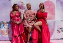 Maputo recebe a primeira edição do The Pink Table – Brutal Fruit Spritzer