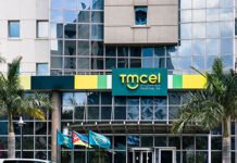 Executivo avança com venda de parte da participação do Estado na Tmcel