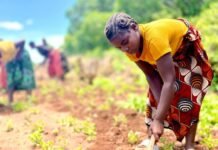 Moçambique recebe prémio internacional pelo empoderamento económico das mulheres rurais